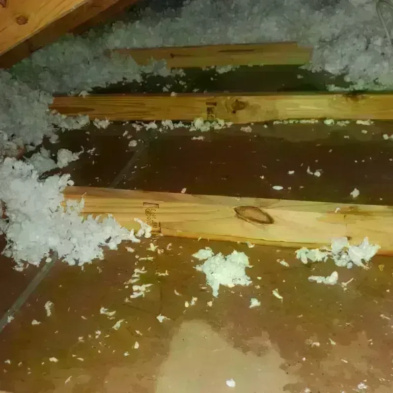 Attic Water Damage in New California, OH