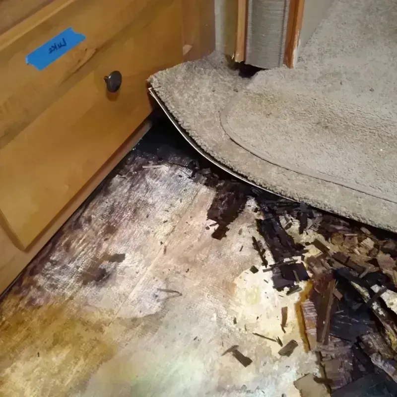 Wood Floor Water Damage in New California, OH